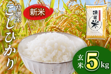 令和7年産 特選米 コシヒカリ玄米 5kg