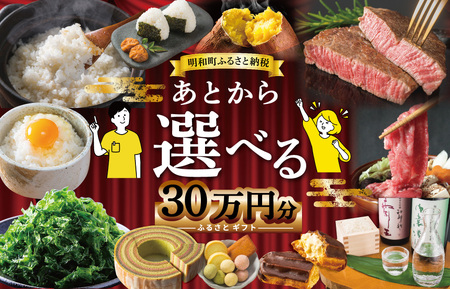 あとからセレクト 30万円