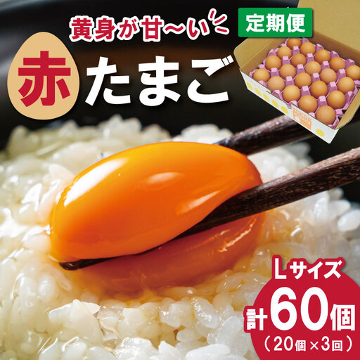 新鮮たまご 赤玉 Lサイズ 20個×3回 [定期便]中村養鶏場 ny4