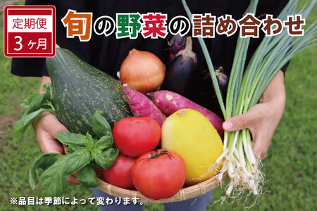 旬の野菜 詰め合わせ 6～7品以上 連続3か月【定期便】おまかせ セット 産地直送 新鮮