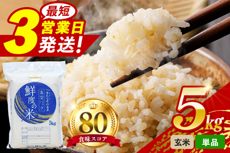 こしひかり 玄米 5kg 真空パック A17-012