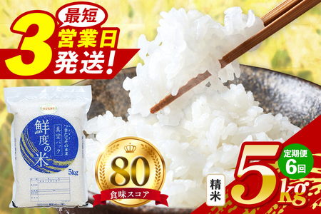 [定期便6回]こしひかり 精米 5kg (計30kg) 真空パック
