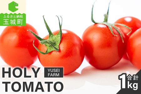 HOLY TOMATO[ ミニトマト トマト 1kg 糖度 8〜12 ギフト 贈り物 yuseifarm 株式会社佑成産業 三重県 玉城町]