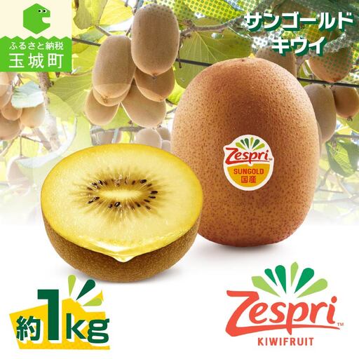 【先行予約】2026年度発送 三重県玉城町産 ゼスプリ サンゴールドキウイ 約1kg