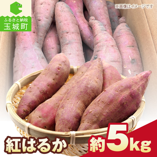 [先行予約]さつまいも(紅はるか) 約5kg