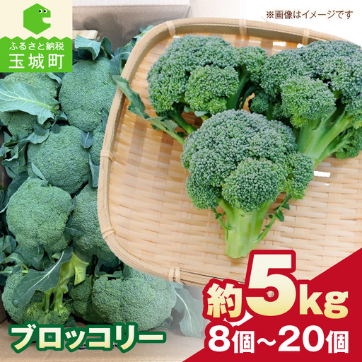 [先行予約]ブロッコリー 約5kg