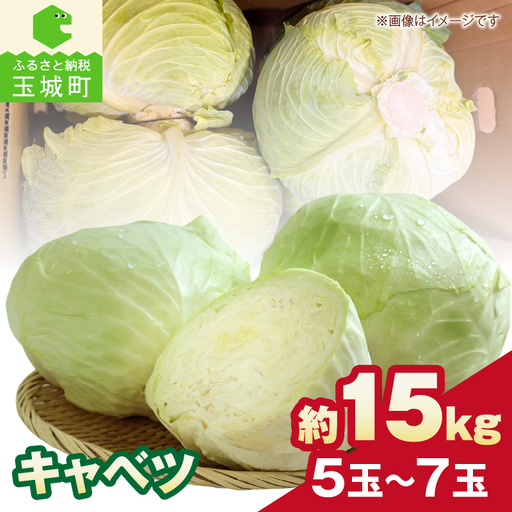 [先行予約]キャベツ 約15kg