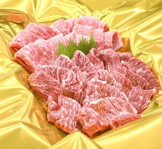 iⓀj㋍ēiIJrEn~jv500g Mtg b-121 ^ ÐHi ӂ邳Ɣ[   Y uh ӂ{ Od I
