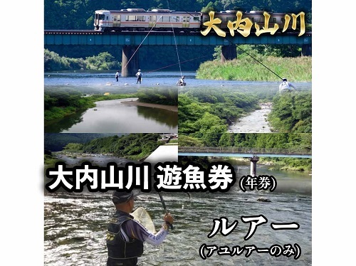 鮎 遊漁券 年券 ルアー /大内山川漁業協同組合 釣り 川釣り アウトドア 大紀ブランド 三重県 大紀町
