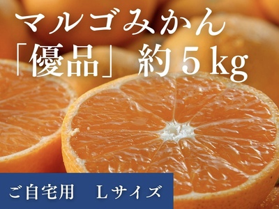 マルゴみかん(温州みかん) 優品 約5kg (Lサイズ) JA伊勢 / 家庭用 送料無料 産地直送 フルーツ 果物 ミカン 先行予約 三重県 南伊勢町