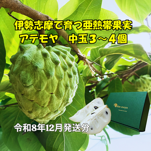 伊勢志摩産 アテモヤ 中玉３～４個 約1.2kg やまで農園 令和8年12月発送 世界三大美果 果物 ふるさと 納税 くだもの フルーツ 森の アイス クリーム 送料無料 産直 事前予約 三重 南伊勢