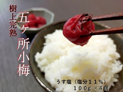 梅干し 小梅 うす塩 100g 4個 計 400g ないぜしぜん村 五ヶ所 梅干 無添加 樹上 完熟 とろける 塩分 11% うめ 梅 ume 手作り うめぼし 伊勢志摩 三重県 南伊勢町