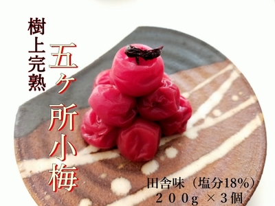 梅干し 五ヶ所小梅 田舎味２００g ３個 計 600g 無添加 塩分 18% 梅干し 梅干し 梅干し 梅干し 梅干し 梅干し