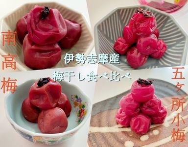 梅干 色々 味くらべ 南高梅 五ヶ所 小梅 4種 計 700g / 伊勢志摩産 無添加 大粒 小粒 こつぶ ないぜしぜん村 梅干し うめ 梅 ume 肉厚 手作り 小分け 三重県 南伊勢町