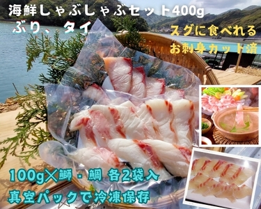 (冷凍) タイ ブリ カット済 海鮮 しゃぶしゃぶ 100g 各 2袋 計 400g / 伊勢志摩 城水産 まだい 真鯛 鰤 天然 スライス のっけ丼 お茶漬け 海鮮丼 豪快丼 産地直送