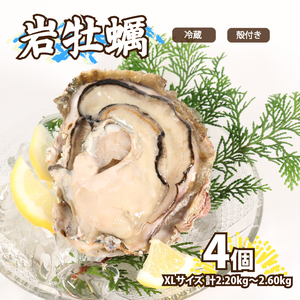 殻付き 岩牡蠣 XLサイズ 4個 加熱用 | 牡蠣牡蠣牡蠣牡蠣