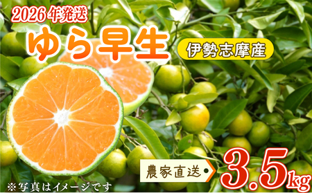 [2026年10月中旬〜発送] ゆら早生みかん 3.5kg ※先行受付[tmkn_005]