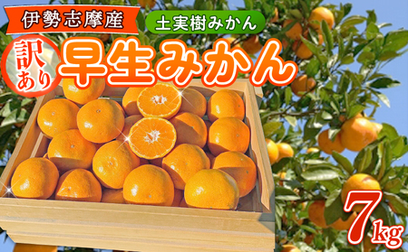 [ふるさと納税][先行予約]早生みかん (土実樹みかん) 7kg 訳あり [2025年11月下旬〜12月下旬頃発送] 柑橘 フルーツ みかん 産地直送 お取り寄せ 送料無料