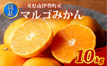訳あり みかん 温州みかん 約10kg 良品 家庭用 期間限定 柑橘 蜜柑 mikan フルーツ 果物 くだもの 傷 ふるさと納税訳あり 国産 ブランド 三重県 伊勢 志摩 南伊勢町 マルゴみかん JA伊勢