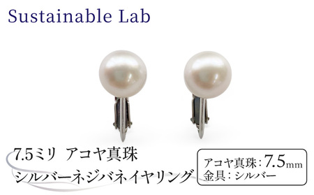 真珠 イヤリング 7.5mm SV シルバー アコヤ真珠 アクセサリー ファッション akoya パール フォーマル カジュアル プレゼント ギフト 贈り物 贈答品 お祝い 誕生日 記念日 冠婚葬祭 慶事 弔事 結婚式 卒業式 入学式 国産 三重県 伊勢 志摩 南伊勢町 / パールシルバーネジバネイヤリング7.5mm