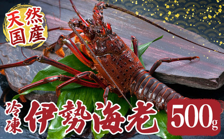 �ɐ����� ��500g �Y�n���� �Ⓚ �ɐ�����