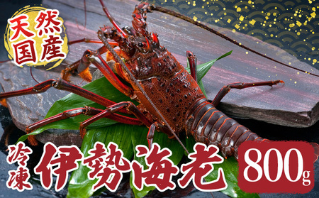 �ɐ����� ��800g �Y�n���� �Ⓚ �ɐ�����