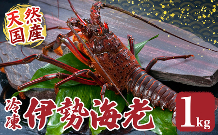 �ɐ����� ��1kg �Y�n���� �Ⓚ �ɐ�����