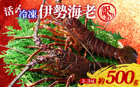 �󂠂� �Ⓚ �ɐ��C�V ��500g 2�`3�� ���Y �ɐ����� �ɐ��G�r �C�Z�G�r �C�V ���� �G�r ebi �������� ���� �C�N �C�Y�� �C ���Y�i ���ܖ� �|�� �C�̍K �A�E�g�h�A BBQ �h�g �Y�Ώ� �Y�n���� ���Y