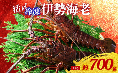 �Ⓚ �ɐ��C�V ��700g 1�� ���Y ���� �ɐ����� �ɐ��G�r �C�Z�G�r �C�V ���� �G�r ebi �������� ���� �C�N �C�Y�� �C ���Y�i ���ܖ� �|�� �C�̍K �A�E�g�h�A BBQ �h�g �Y�Ώ� �Y�n���� ���Y �O�d��