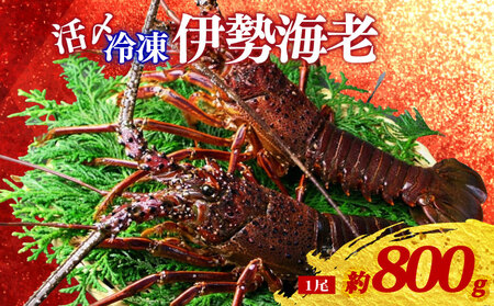 �Ⓚ �ɐ��C�V ��800g 1�� ���Y ���� �ɐ����� �ɐ��G�r �C�Z�G�r �C�V ���� �G�r ebi �������� ���� �C�N �C�Y�� �C ���Y�i ���ܖ� �|�� �C�̍K �A�E�g�h�A BBQ �h�g �Y�Ώ� �Y�n���� ���Y �O�d��