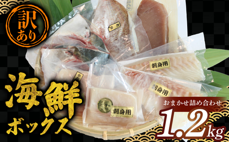 �y3�������z �󂠂� �C�N �{�b�N�X 1.2kg ���� ����� �܂��� �� ����ς� �V�}�A�W �Ђ�܂� �l�ߍ��킹