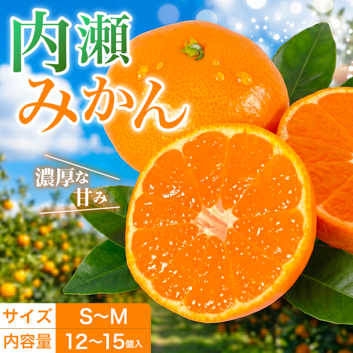 温室みかん 約12〜15個入 みかん 柑橘 フルーツ アサヒ農園