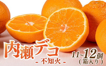 先行予約 不知火 11〜12個 アサヒ農園 / 不知火