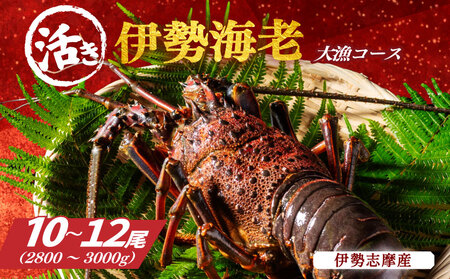 地物 活き 伊勢海老 10〜12尾 約2800〜3000g 山金商店 伊勢海老 伊勢海老 伊勢海老 伊勢海老