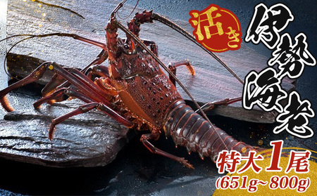 ō  ɐCV 651`800g 1 ɐCV ɐ Yn VR Y CN VN hg X Ă Mtg  Od ɐ ɐ u