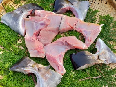 カンパチ かま 検索結果 ふるさと納税サイト ふるなび