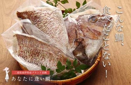 (冷蔵)驚く甘さ!ジューシーなブランド真鯛[3枚おろし・皮あり] / はさま あなたに逢い鯛。 三重県 南伊勢町 伊勢志摩