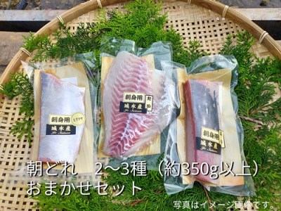 （冷蔵）伊勢志摩産 朝どれ ２～３種 約350ｇ お刺身用 おまかせセット ／ 城水産 ふるさと納税 刺身 魚 切るだけスペック 寄付 おすすめ 鯛 鰤 たい ブリ 新鮮 真空チルド 三重県 南伊勢