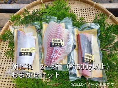 （冷蔵） お刺身 おまかせ セット ２ ～ ３種 約 500ｇ 城水産 朝どれ 刺身 刺し身 鯛 タイ 鰤 ブリ 鮪 マグロ 平昌 ヒラマサ 勘八 カンパチ シマアジ ヒラメ 新鮮 魚介 海鮮 海 産地直送 国産 三重 南伊勢 伊勢志摩