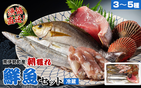 (冷蔵)漁協直送! 南伊勢町産 3〜5種 朝獲れ鮮魚セット/三重外湾漁業組合 お刺身 新鮮 詰合せ おいしい とれたて 旬 三重県 伊勢志摩