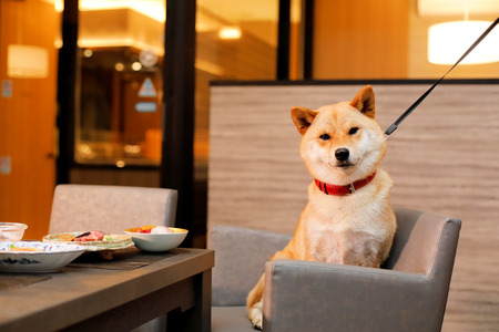 yybgƔ܂hzVilla@hpq90,000~r[vo04]