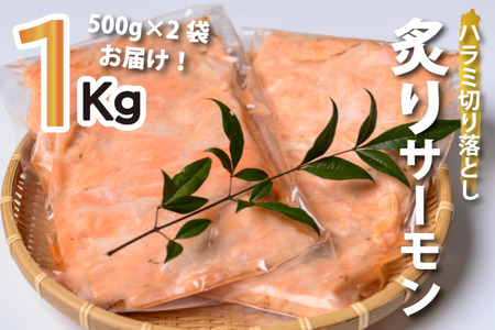 鮭問屋[お刺身用]アトランティックサーモン[炙りハラミの切り落とし]1kg[R07]