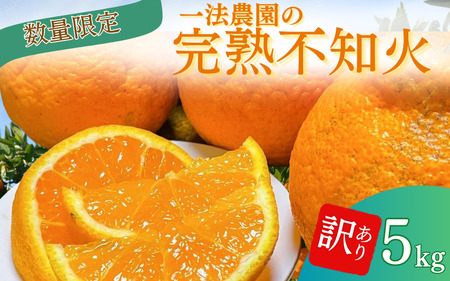 みかん ミカン 蜜柑 不知火 デコポン / 一法農園の完熟不知火 ご家庭用 ちょこっと訳あり M-3Lサイズ混合 5kg[2月上旬〜3月下旬までに順次発送][mkz014B]
