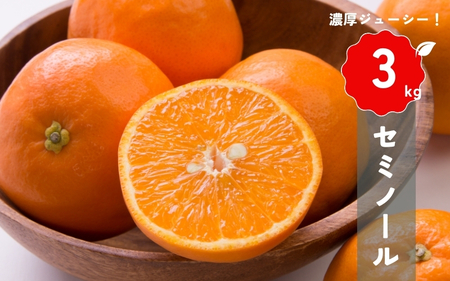 【先行予約】橋本農園の セミノール 3kg 【2026年3月中旬から4月中旬に順次発送】 / セミノール 柑橘 フルーツ 果物 くだもの 先行予約 【mht016】