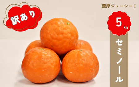 ys\z{_ 󂠂 Z~m[ 5kg y2026N3{4{ɏz / Z~m[ k t[c ʕ  s\ 󂠂 ymht020z