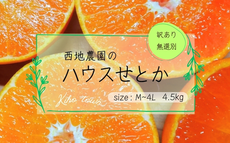 [先行予約]ご家庭用 訳あり 西地農園のハウスせとか 4.5kg M〜4Lサイズ混合 無選別[2025年2月中旬より順次発送] / せとか ハウスせとか L M みかん 蜜柑 柑橘[mnd009]