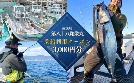 遊漁船「第八十八翔栄丸」 乗船利用クーポン 3000円分 / 釣り 海釣り 船釣り 釣り船 魚釣り フィッシング fishing 漁船 体験 チケット クーポン ジギング ジギング船 タイラバ トンジキ イカメタル アジング サビキ釣り イカ キャスティング 三重県 紀宝町 [sem001]