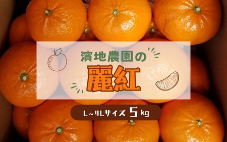 L-4Lサイズ 不揃い 濵地農園の麗紅れいこう) 約5kg(箱込み)[2026年2月初旬から3月初旬までに順次発送] / みかん ミカン 蜜柑 れいこう 麗紅 [mha003A]
