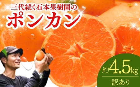 みかん フルーツ くだもの 果物 ポンカン 家庭用 / 訳あり 石本果樹園の美味しい ポンカン 約4.5kg 20〜25玉[2026年1月初旬から2月初旬までに順次発送][min017]