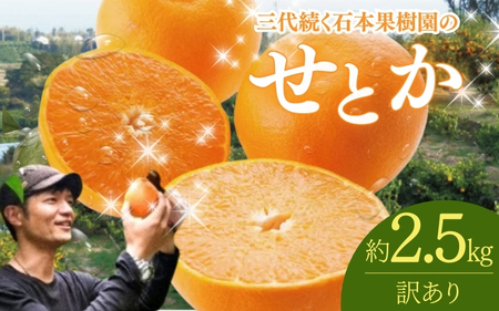 [先行予約][訳あり]せとか 石本果樹園の美味しい せとか 約2.5kg 9〜15玉[2026年2月中旬から3月中旬までに順次発送] / みかん ミカン 蜜柑 フルーツ くだもの 果物 訳あり 家庭用 ご家庭用 人気[min019]